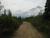 Stampede trail_tiny